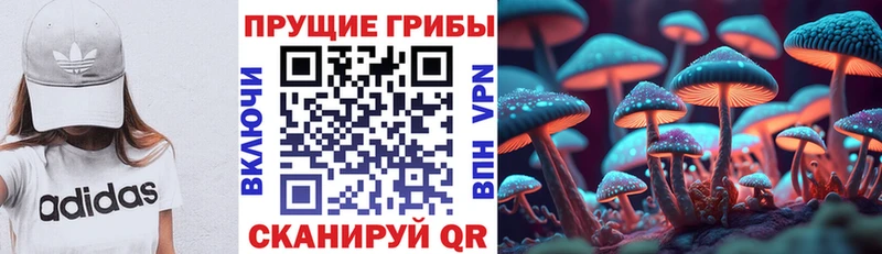 Галлюциногенные грибы Cubensis  Химки 