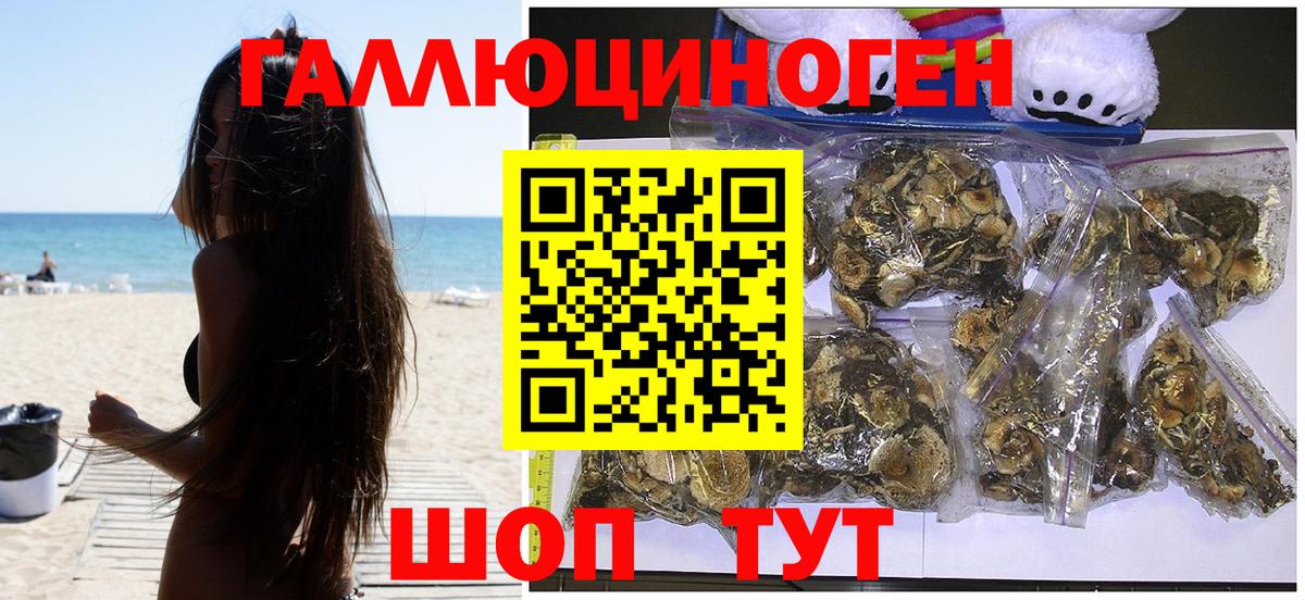 Химки  Галлюциногенные грибы прущие грибы  Вход с VPN  Псилоцибиновые грибы мицелий 