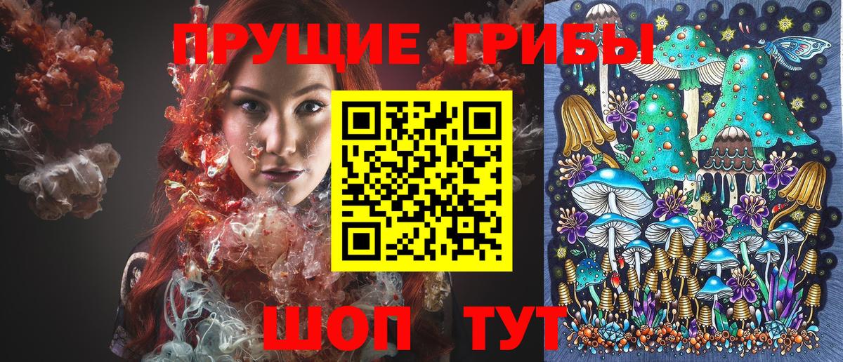 Галлюциногенные грибы Psilocybine cubensis Химки