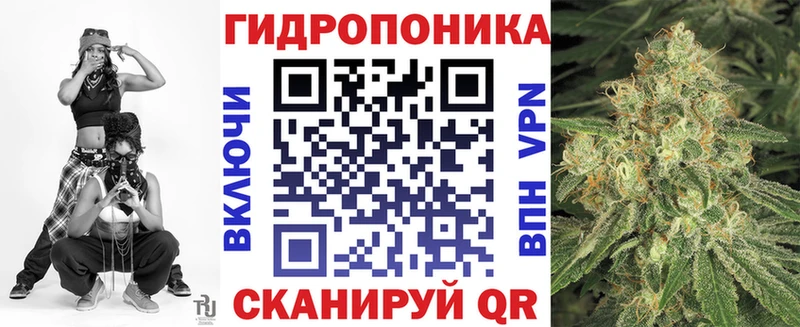 Бошки Шишки семена  хочу   Химки 